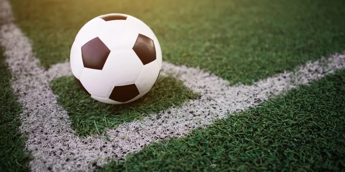 1771919509152.jpeg - RevistaPolitica