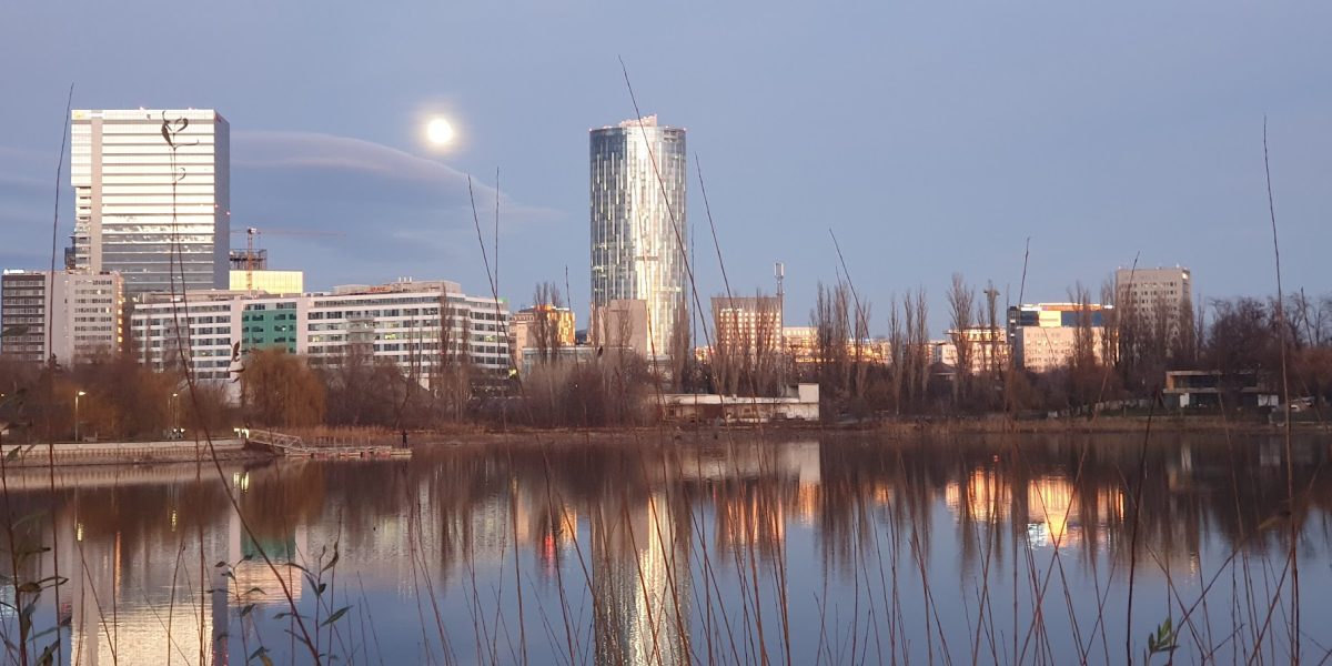 20201229_170227.jpg - RevistaPolitica