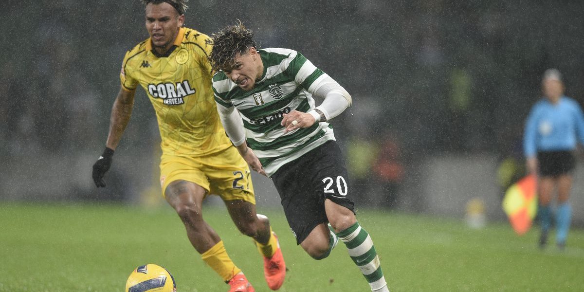 4aa68ba9-665a-4c05-91a3-073968e9e6a3.jpg - RevistaPolitica