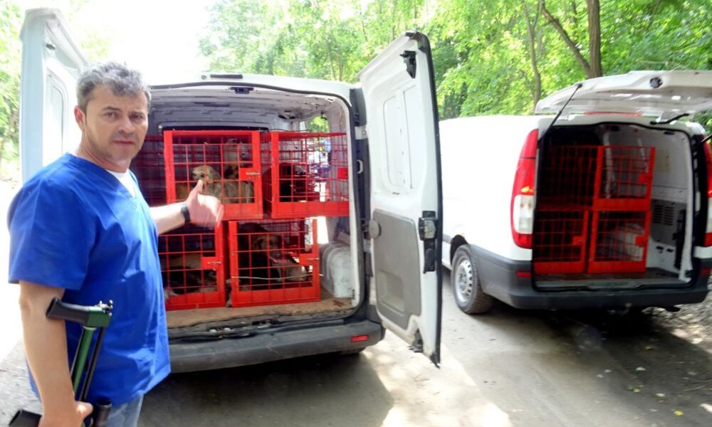 6-Valetin-Istrate-cu-arma-de-tranchilizare-Foto-Federatia-pentru-Protectia-Animalelor-si-Mediului-20.jpeg - RevistaPolitica