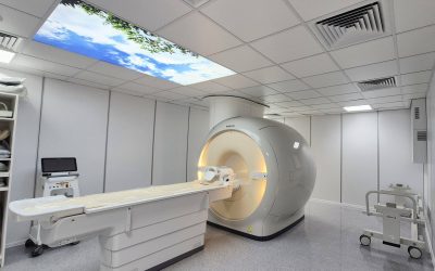 629210026_927168346638657_5080104588965515500_n.jpg - RevistaPolitica