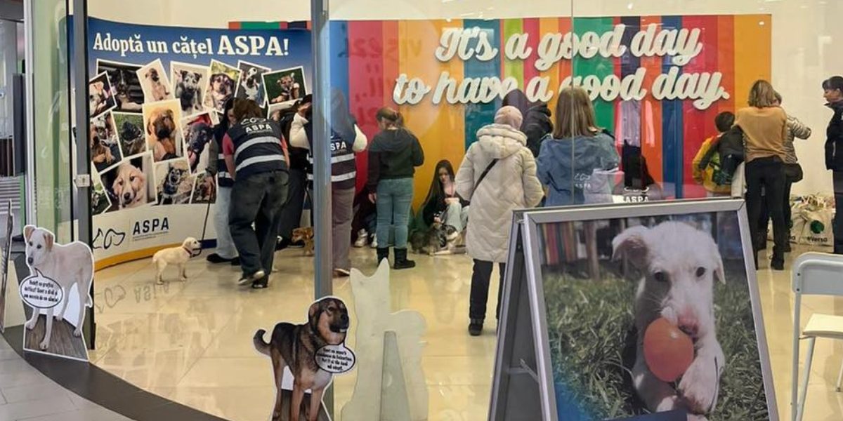 Catei-adoptati-primul-targ-de-adoptii-ASPA.jpg - RevistaPolitica