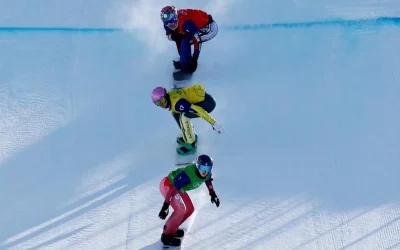 Day8.webp.webp - RevistaPolitica