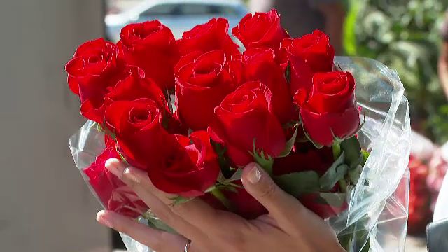 Alertă în Europa. Trandafirii roșii importați din Olanda, contaminați de insecticide interzise, „cancerigene pentru om”