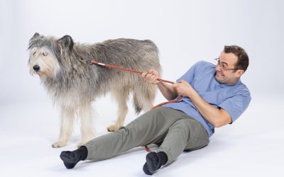 Foto-Leya_George-scaled.jpg - RevistaPolitica