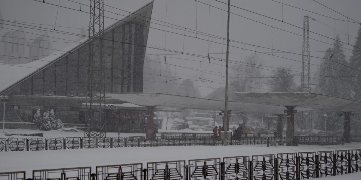 ID239030_INQUAM_Photos_Alex-Nicodim_-scaled.jpg - RevistaPolitica