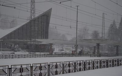 ID239030_INQUAM_Photos_Alex-Nicodim_-scaled.jpg - RevistaPolitica