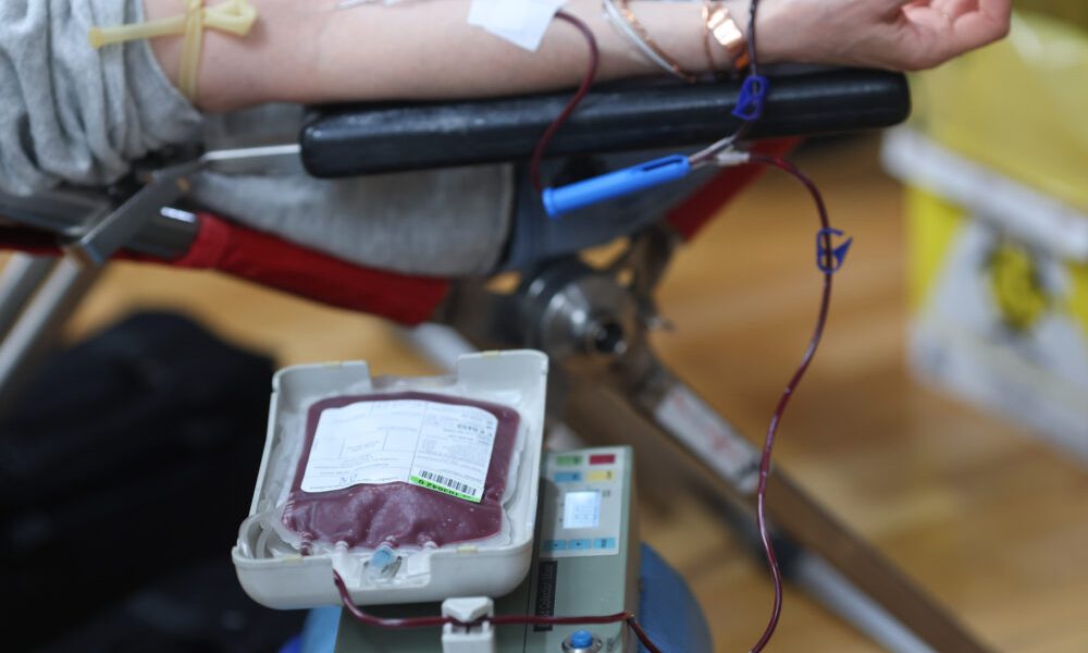 ID298646_INQUAM_Photos_George_Calin-1000x667.jpg - RevistaPolitica