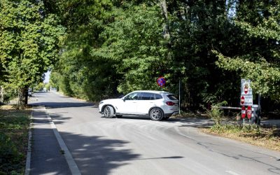 ID317768_INQUAM_Photos_Ovidiu_Micsik-scaled.jpg - RevistaPolitica