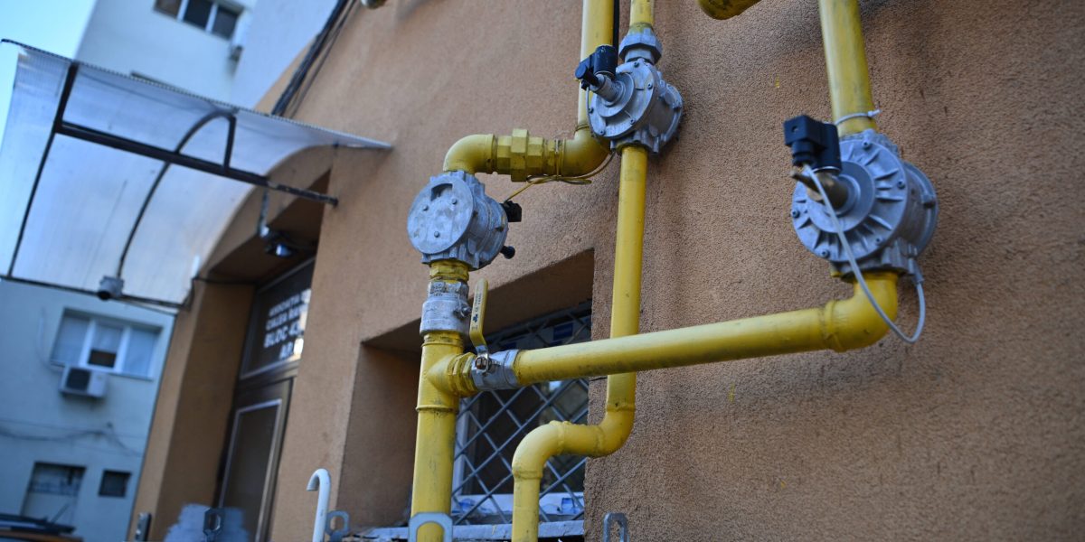 ID322394_INQUAM_Photos_Alex-Nicodim_-scaled.jpg - RevistaPolitica