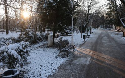 ID330501_INQUAM_Photos_George_Calin-1-e1770545727817.jpg - RevistaPolitica