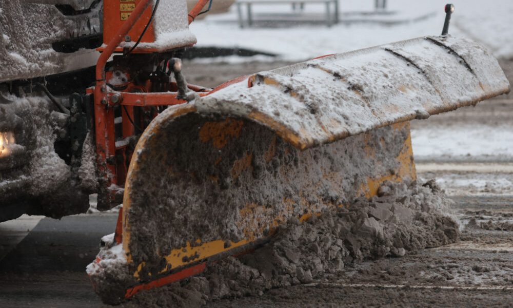 ID330600_INQUAM_Photos_George_Calin-1000x667.jpg - RevistaPolitica