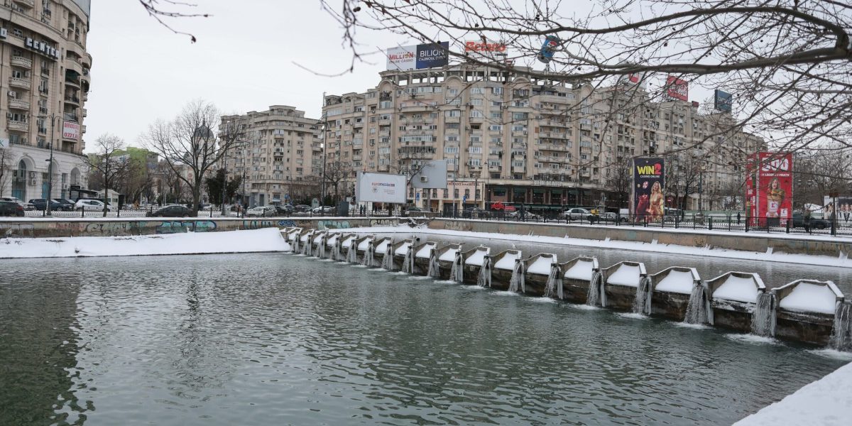 ID332283_INQUAM_Photos_George_Calin-1-e1770468225307.jpg - RevistaPolitica