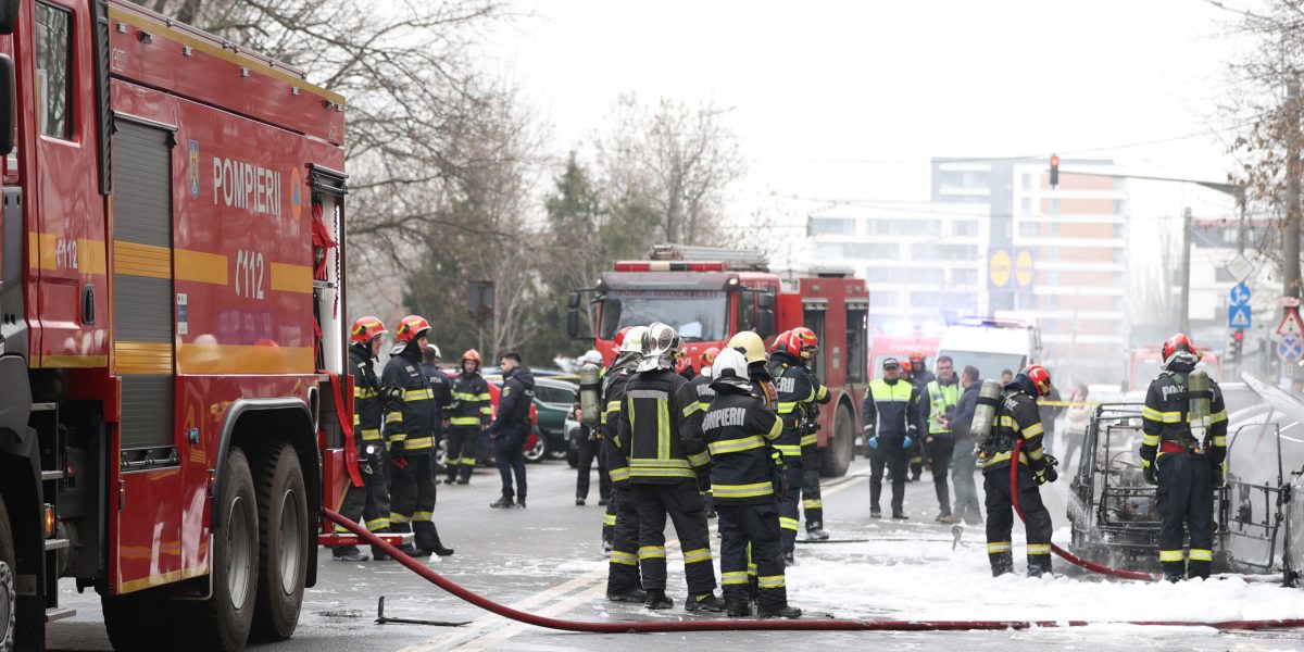 ID333754_INQUAM_Photos_Cosmin_Enache-scaled.jpg - RevistaPolitica