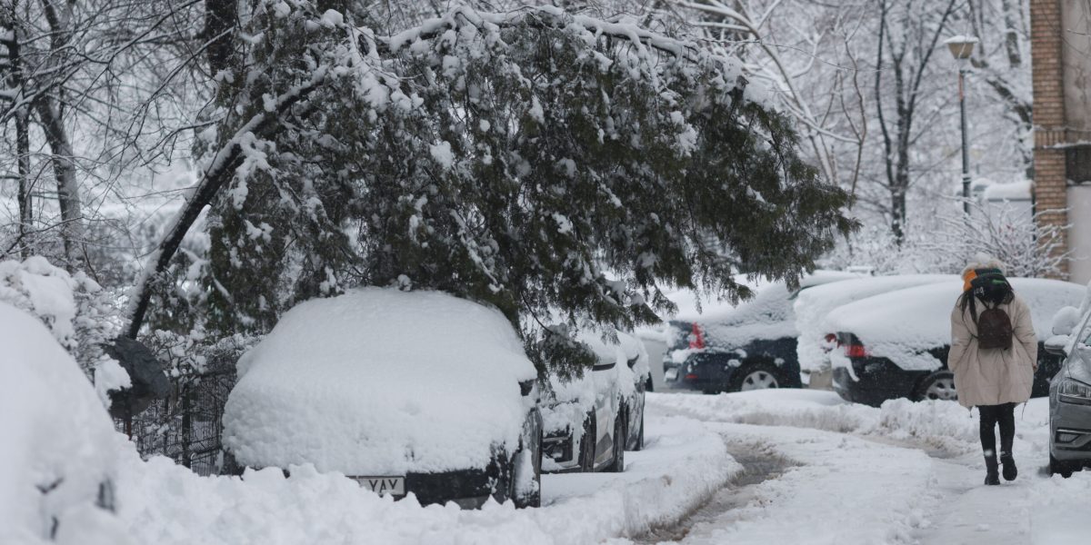 ID333964_INQUAM_Photos_George_Calin-scaled.jpg - RevistaPolitica