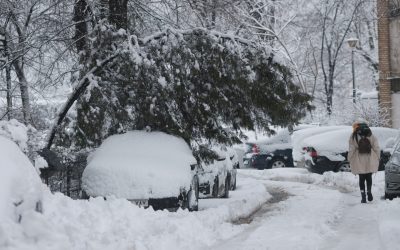 ID333964_INQUAM_Photos_George_Calin-scaled.jpg - RevistaPolitica