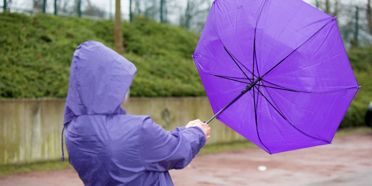 Jmhhc2g9OWZjNzdiMzExNWJhMjcyMzNhZGNmYmFmMWZkOWJhZDk.thumb_.jpg - RevistaPolitica