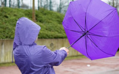 Jmhhc2g9OWZjNzdiMzExNWJhMjcyMzNhZGNmYmFmMWZkOWJhZDk.thumb_.jpg - RevistaPolitica