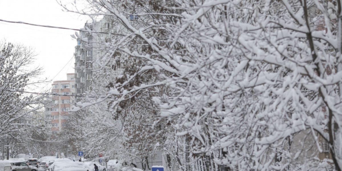 MSZoYXNoPTBjOGFhOWNhNTRhYTQyZmE1YWMxZjlhMmVhMWJlZGNm.thumb_.jpg - RevistaPolitica