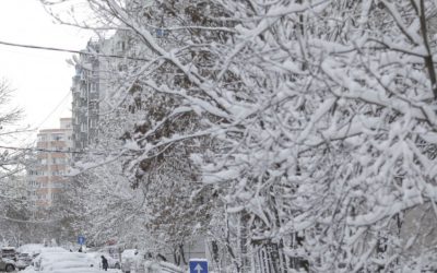 MSZoYXNoPTBjOGFhOWNhNTRhYTQyZmE1YWMxZjlhMmVhMWJlZGNm.thumb_.jpg - RevistaPolitica