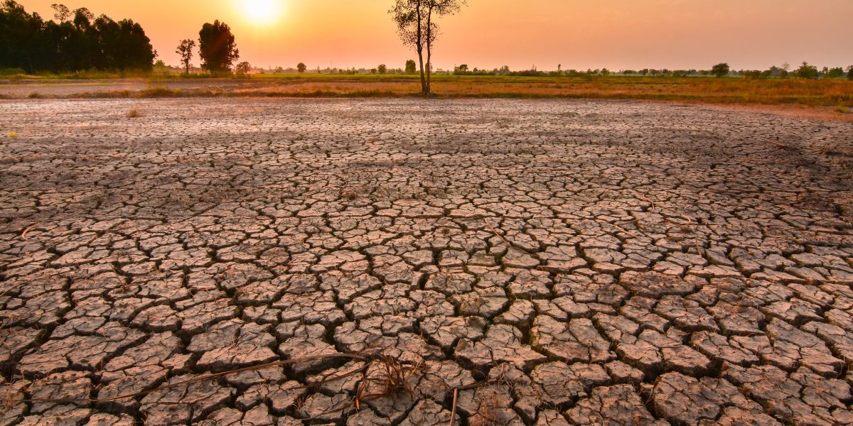 MSZoYXNoPTkwNTY4MWMxZDAyYjQyYTRhNzQ0NmIyMjdhMWNiNTNi.thumb_.jpg - RevistaPolitica