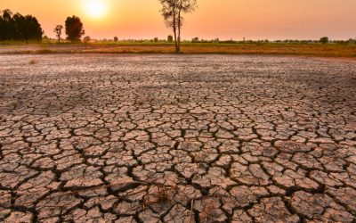 MSZoYXNoPTkwNTY4MWMxZDAyYjQyYTRhNzQ0NmIyMjdhMWNiNTNi.thumb_.jpg - RevistaPolitica