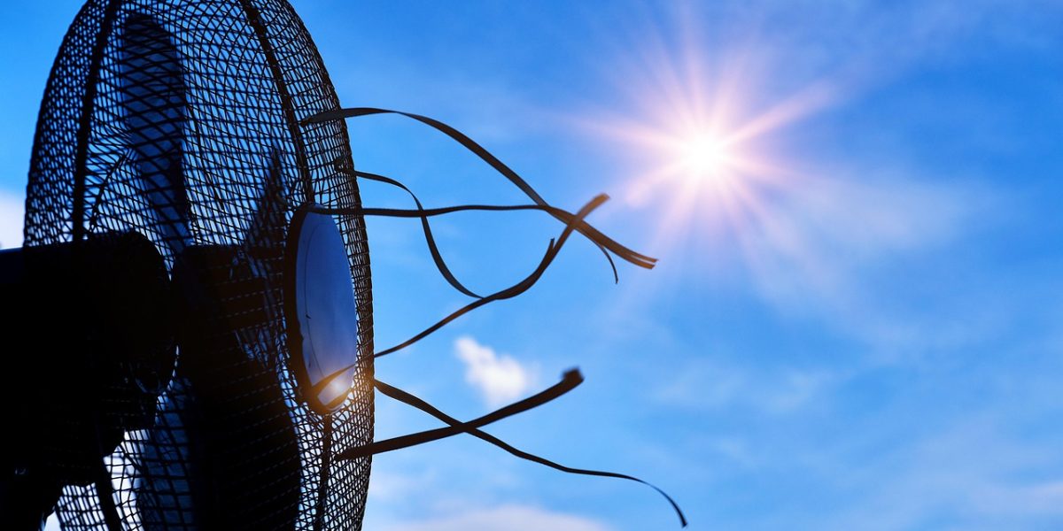 Retea-de-Adaposturi-Climatice-in-Bucuresti-pixabay.jpg - RevistaPolitica