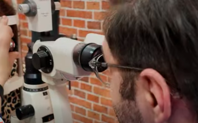 Screenshot-2026-02-16-at-11.46.43.png - RevistaPolitica