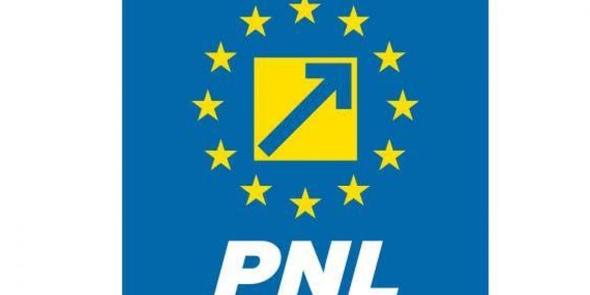 Șefii filialelor PNL își păstrează mandatele, demiterea respinsă - RevistaPolitica