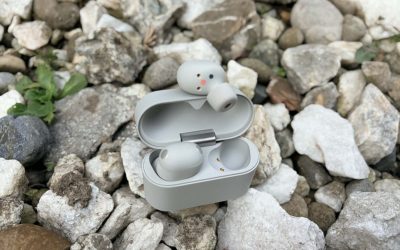 Sony-WF-1000XM6-noile-casti-premium-cu-anulare-a-zgomotului-3-e1770972056125.jpg - RevistaPolitica