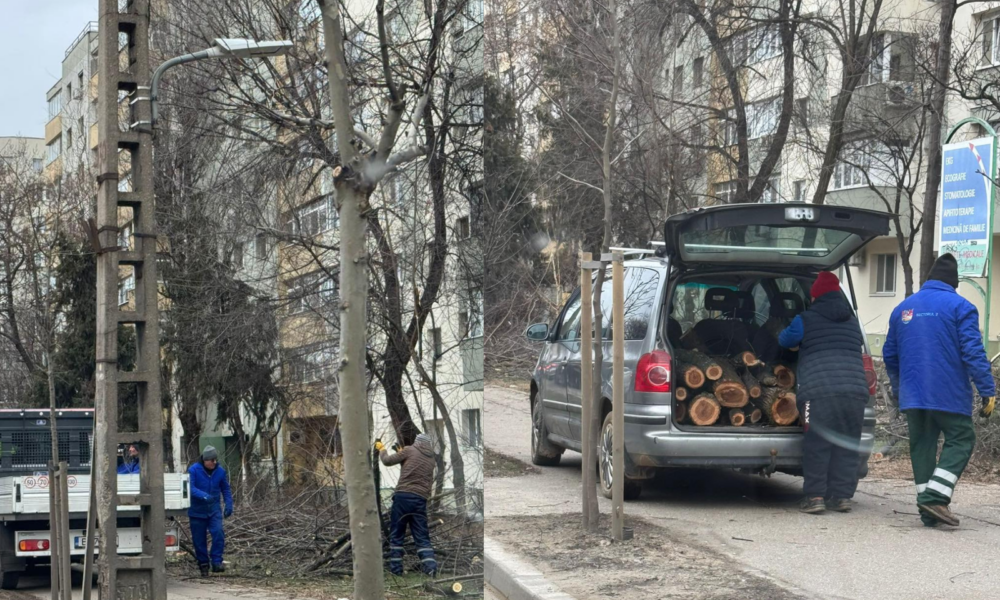 Untitled-design-38-1000x666.png - RevistaPolitica