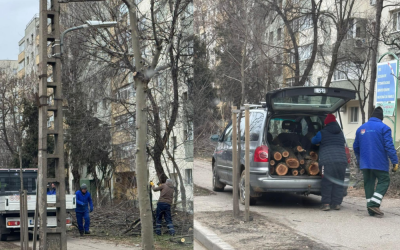 Untitled-design-38-1000x666.png - RevistaPolitica