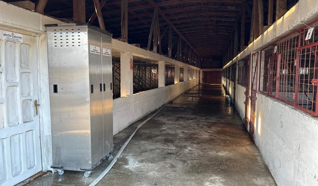 WhatsApp-Image-2023-10-11-at-19.46.47-15-1.jpeg - RevistaPolitica