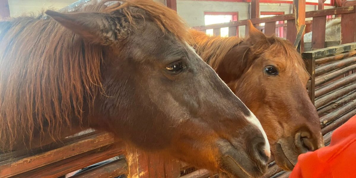 WhatsApp-Image-2024-03-29-at-1.21.34-PM-1536x1152-1.jpeg - RevistaPolitica