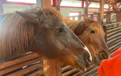 WhatsApp-Image-2024-03-29-at-1.21.34-PM-1536x1152-1.jpeg - RevistaPolitica