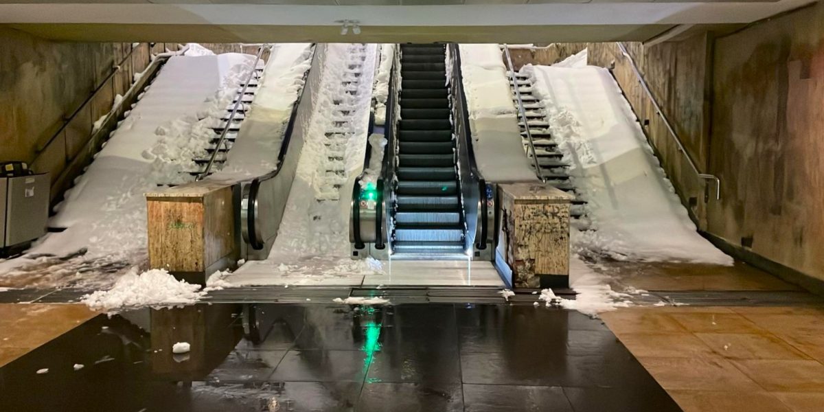 WhatsApp-Image-2026-02-18-at-06.48.54.jpeg - RevistaPolitica