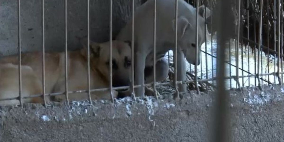 YTBiZDlmNjFjOGNkZjE2ZTU4ZTEzNDQxNWM4NGE3ZGE.thumb_.jpg - RevistaPolitica