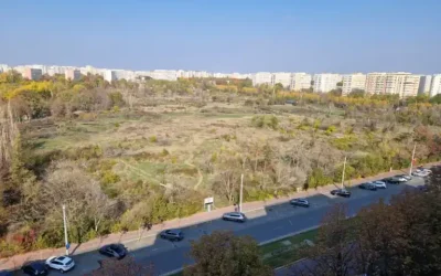 amendaior-1.webp.webp - RevistaPolitica