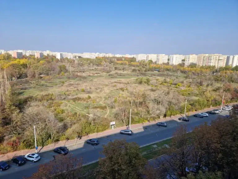 amendaior-1.webp.webp - RevistaPolitica