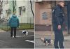 amenzi-bucuresteni-care-nu-strang-dupa-cainii-lor.jpg - RevistaPolitica