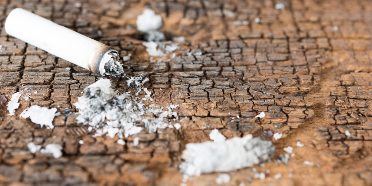 cigarette-scaled.jpg - RevistaPolitica