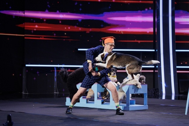 dresor-caini.jpg - RevistaPolitica