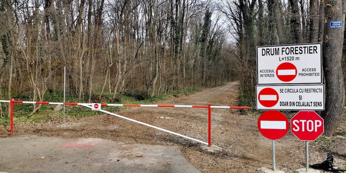 drum-forestier-auto-Padurea-Baneasa.jpg - RevistaPolitica