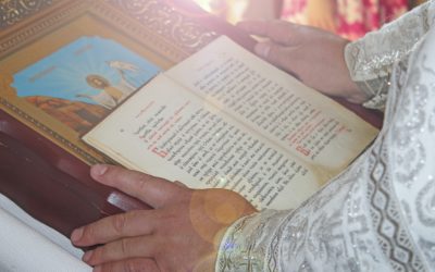 emM9MSZoYXNoPTMzM2E3YmQ3MTcxNDU1Yjk3NWExOTIwZTc3OGNhZmVm.thumb_.jpg - RevistaPolitica