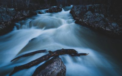 foto-apa.jpg - RevistaPolitica