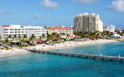 freepik__newsstyle-photo-of-palm.jpg - RevistaPolitica