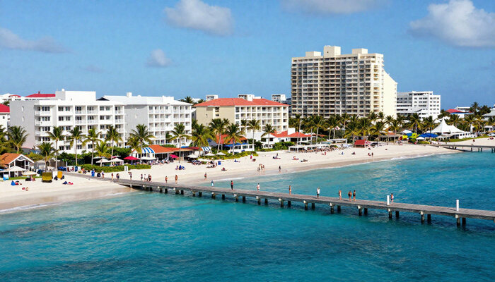 freepik__newsstyle-photo-of-palm.jpg - RevistaPolitica