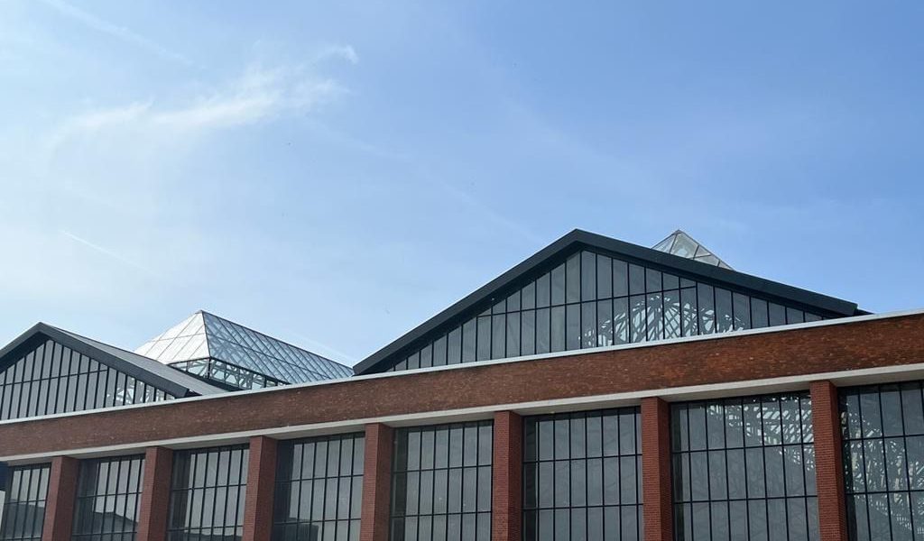 hala-laminor-2.jpg - RevistaPolitica