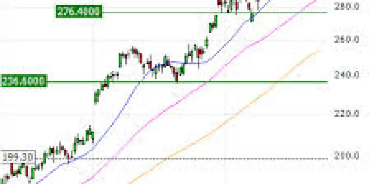 image_1200x675_699518c342849.webp.webp - RevistaPolitica