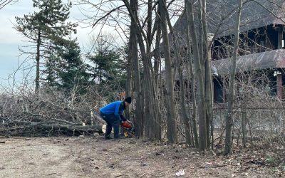 ior-aprc-1-3.jpg - RevistaPolitica